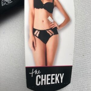 Cheeky black sexy mesh panty 2X